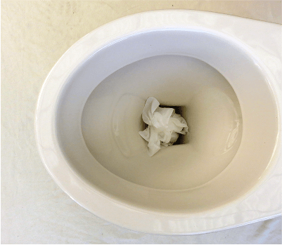 bathroomkitchenplumbing-blocked_toilets