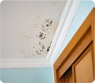 gutter_cleaning-damp_patches_ceilings_exterior_walls