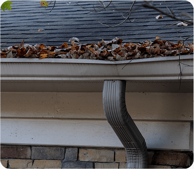 gutter_cleaning-havent_cleaned_gutter_6months
