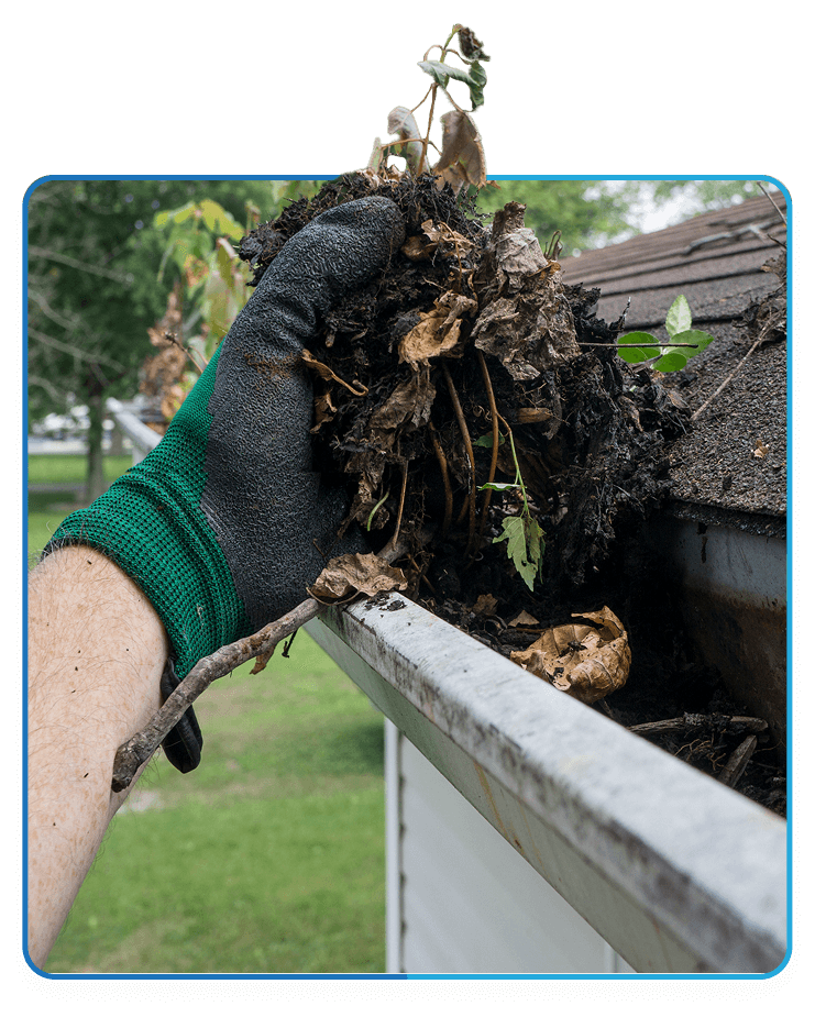 intro-included_gutter_cleaning