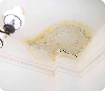 subservices-emergencygeneralplumbing-leaking_roof_ceiling_water