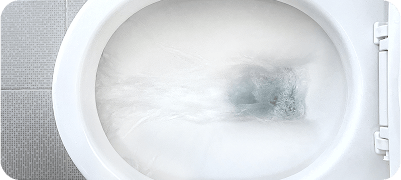 subservices-sewer_repair-toilet_gurgling_flushing